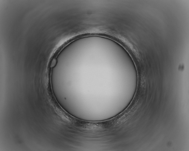 X0000097851270200803281239