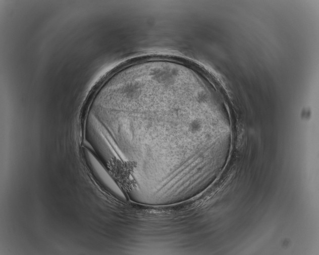 X0000097851271200803281239