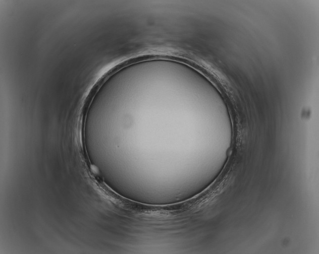 X0000097851272200803281239