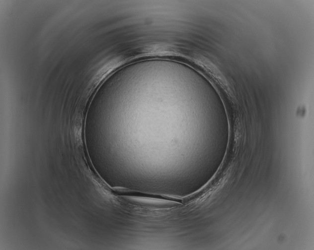 X0000097851273200803281239