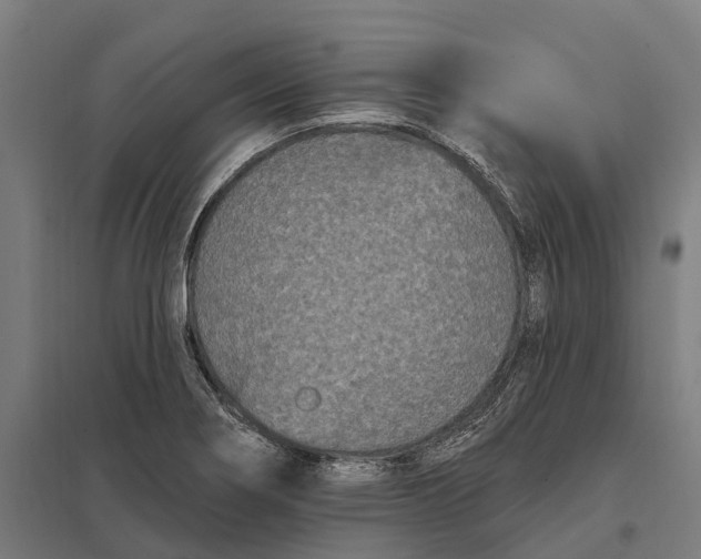 X0000097851274200803281239