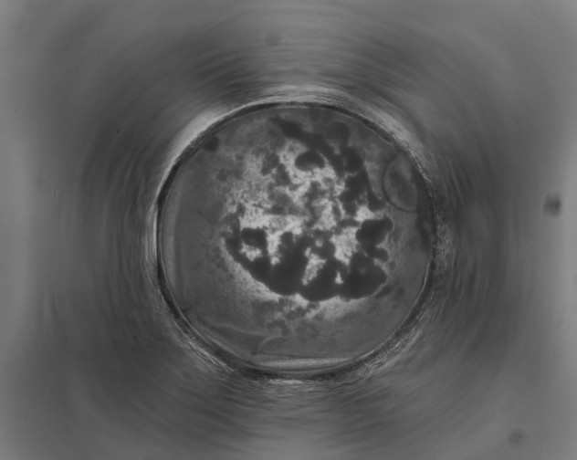 X0000097851275200803281239