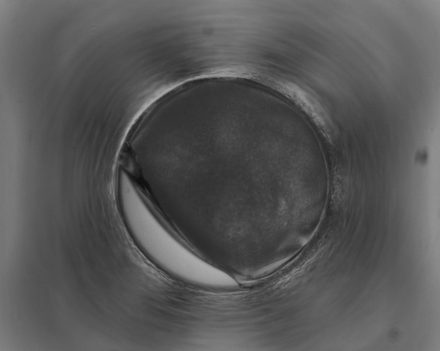 X0000097851276200803281239