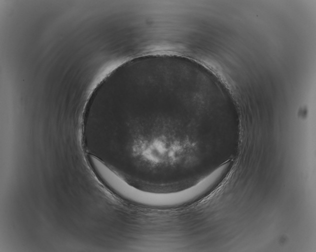 X0000097851277200803281239