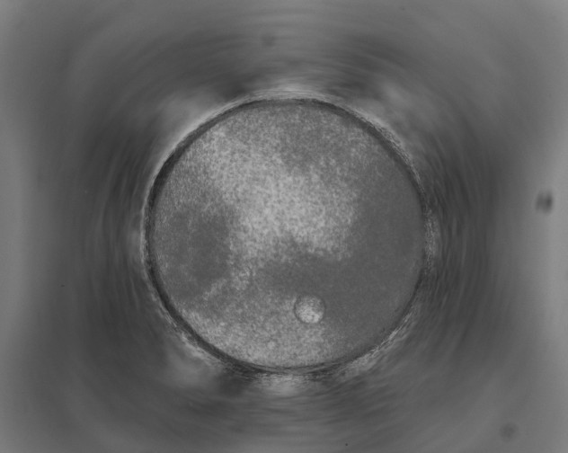 X0000097851278200803281239