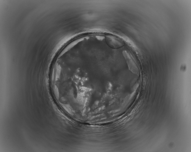 X0000097851279200803281239