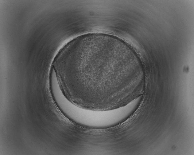 X0000097851280200803281239