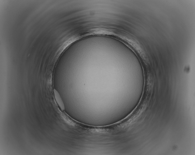 X0000097851281200803281239