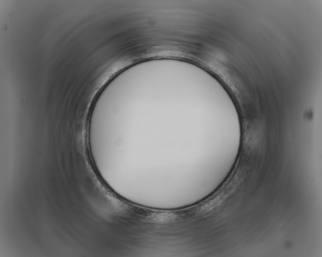 X0000097851282200803281239