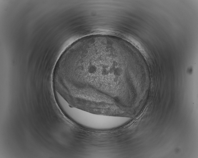 X0000097851283200803281239