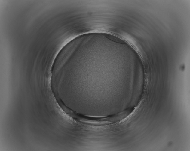 X0000097851284200803281239