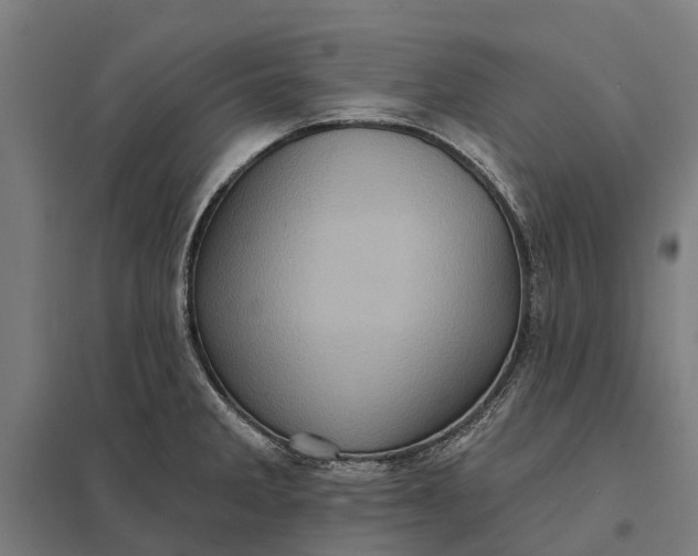 X0000097851285200803281239