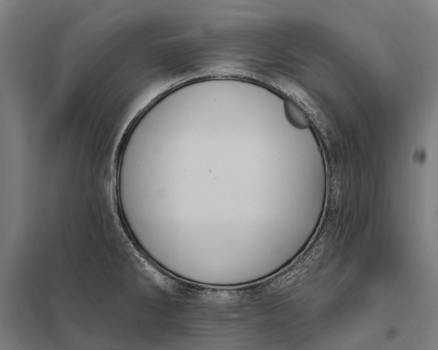 X0000097851286200803281239