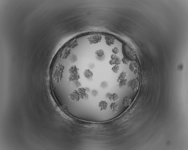 X0000097851287200803281239