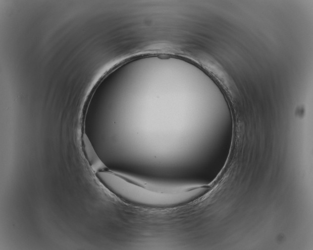 X0000097851288200803281239