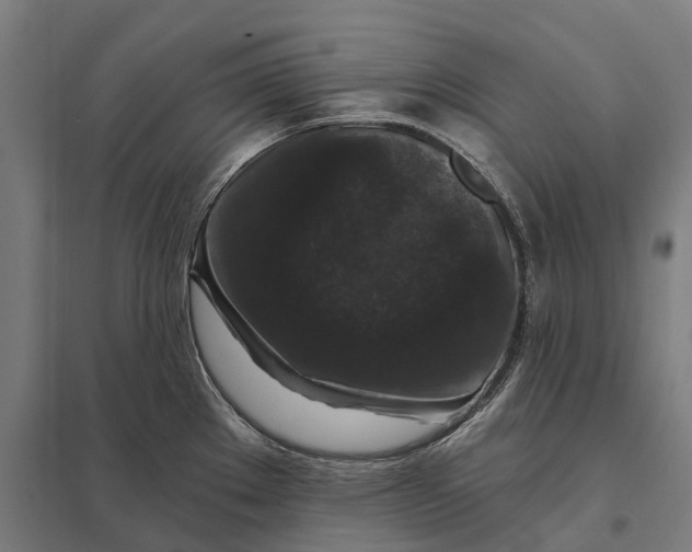 X0000097851289200803281239