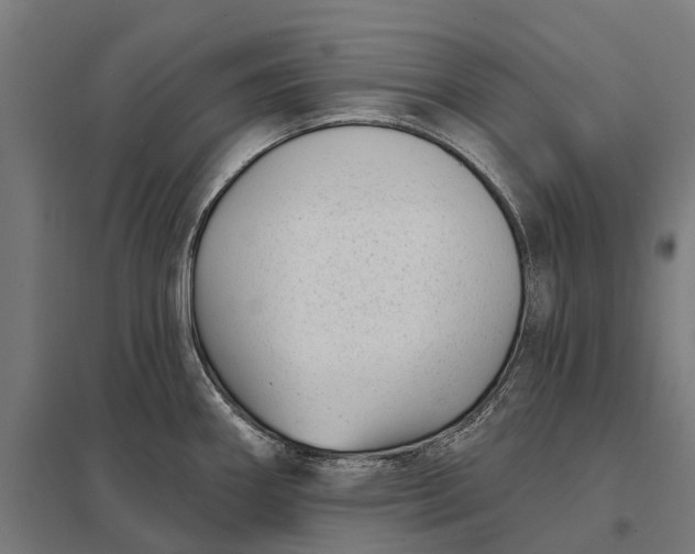 X0000097851290200803281239