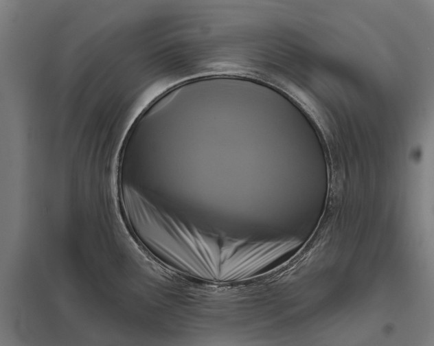 X0000097851291200803281239