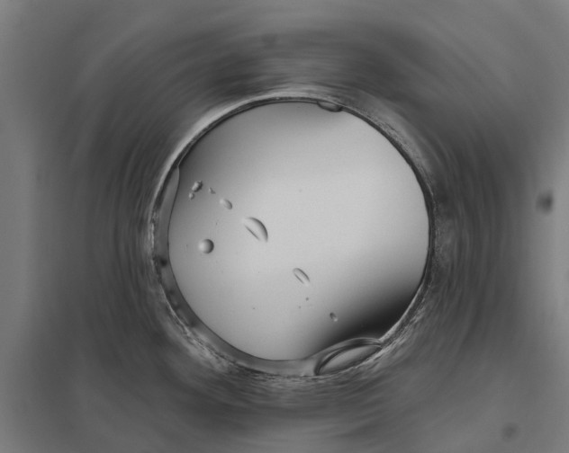 X0000097851292200803281239