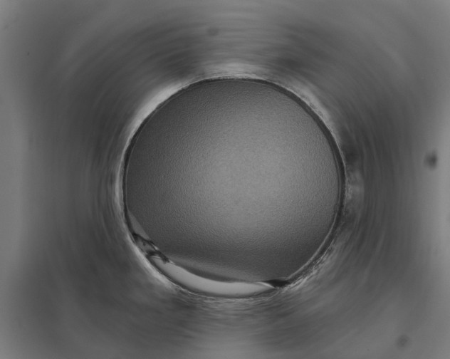 X0000097851293200803281239