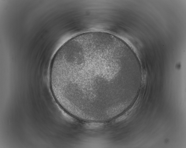 X0000097851294200803281239