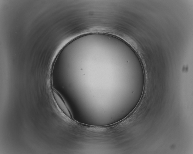 X0000097851296200803281239