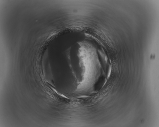 X0000097851297200803281238