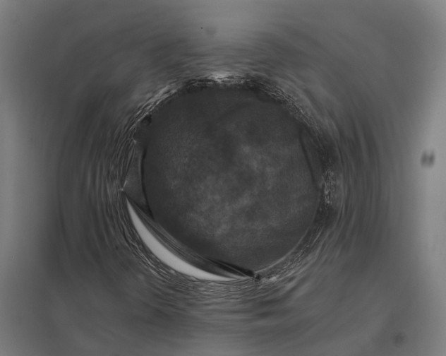 X0000097851298200803281238