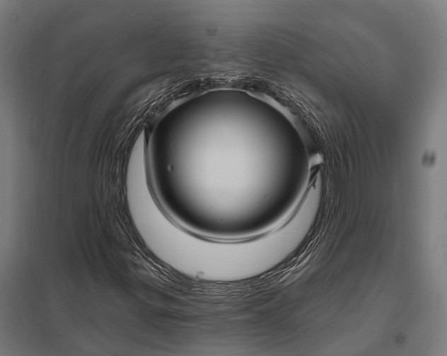 X0000097851299200803281238