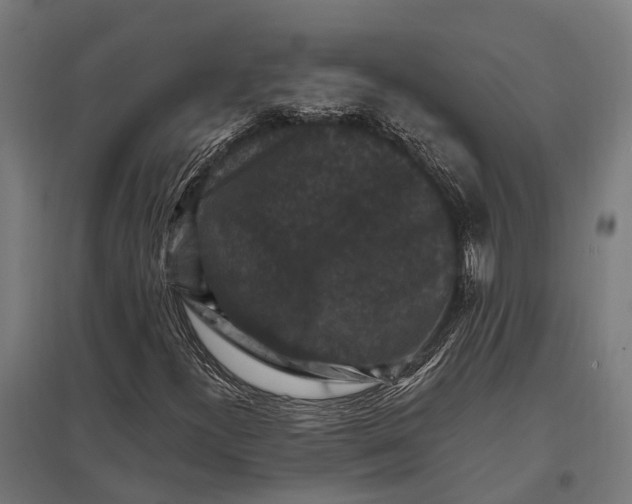 X0000097851300200803281238