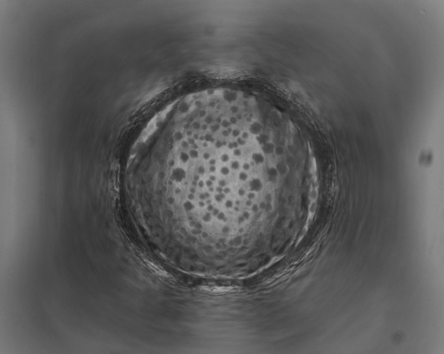 X0000097851301200803281238