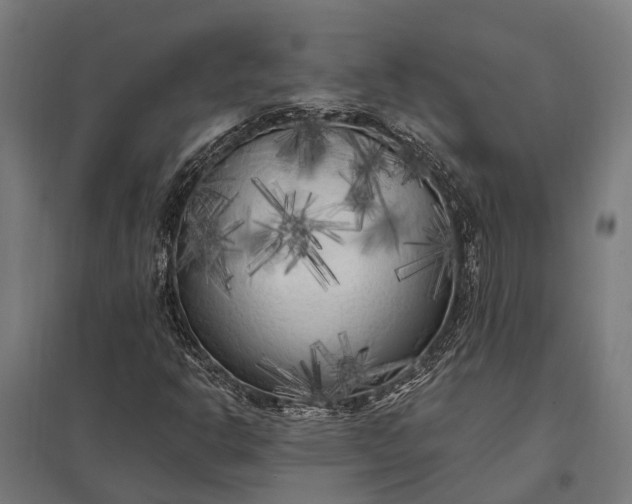 X0000097851302200803281238