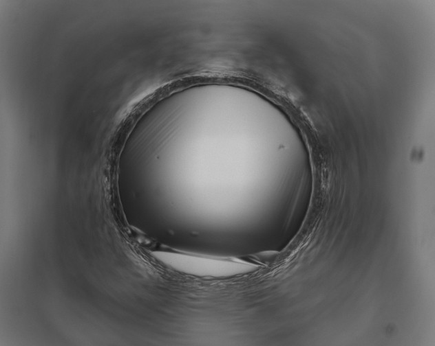 X0000097851304200803281238