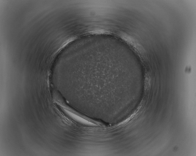 X0000097851305200803281238