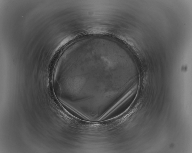 X0000097851306200803281238