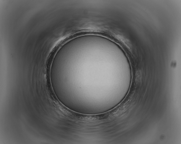 X0000097851307200803281238