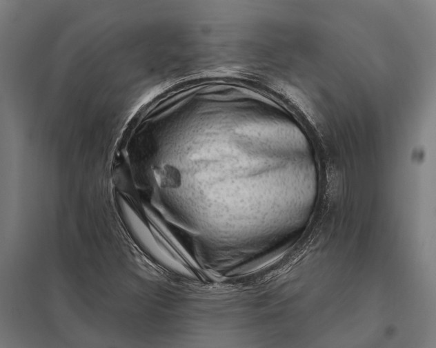 X0000097851308200803281238