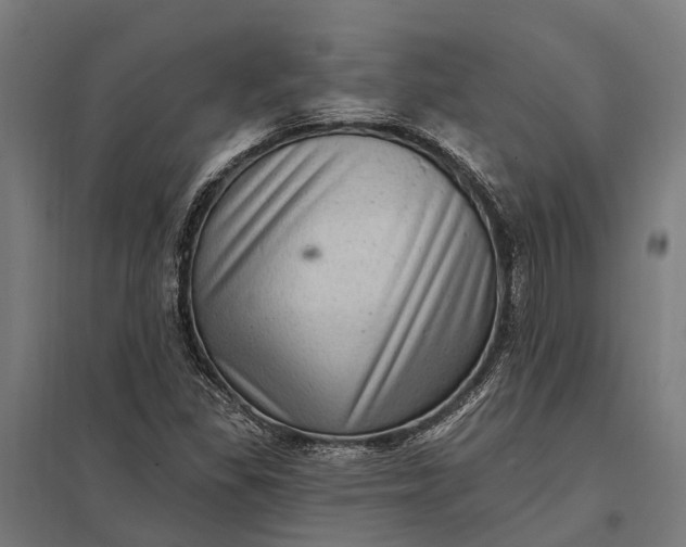 X0000097851309200803281238