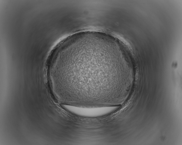 X0000097851310200803281238