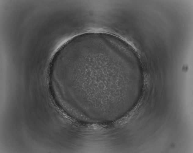 X0000097851311200803281238