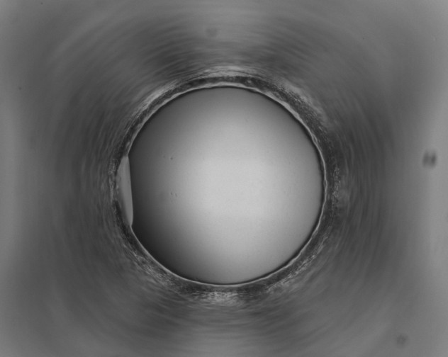 X0000097851313200803281238