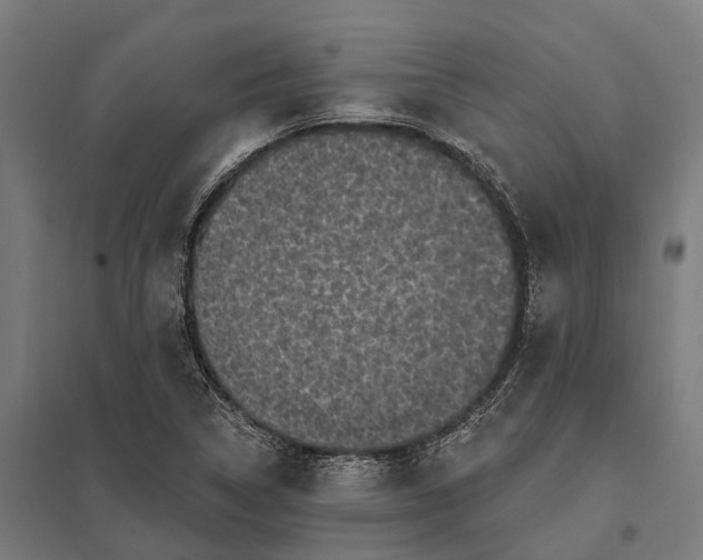 X0000097851314200803281238