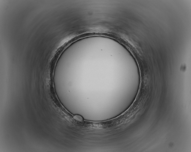 X0000097851315200803281238