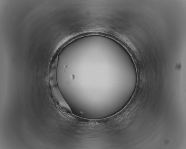 X0000097851316200803281238