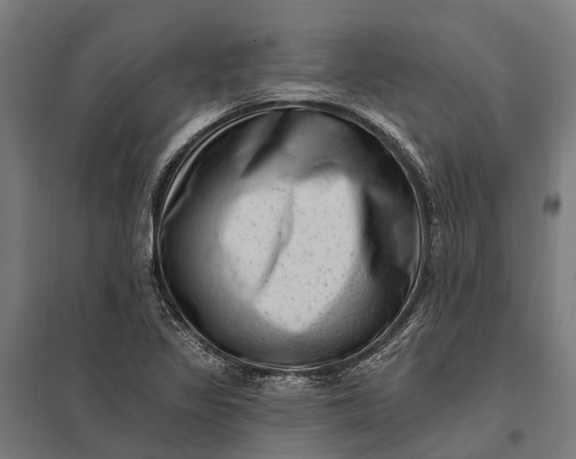 X0000097851317200803281238