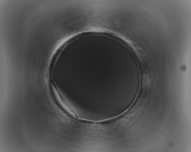 X0000097851319200803281238