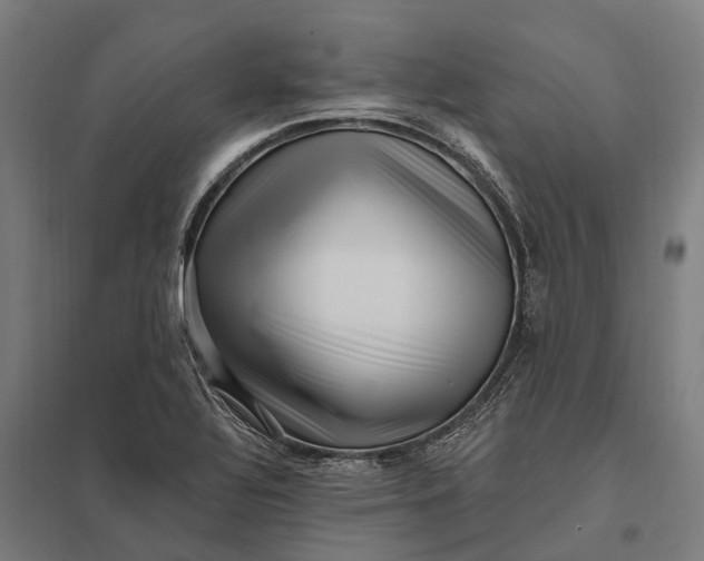 X0000097851320200803281238