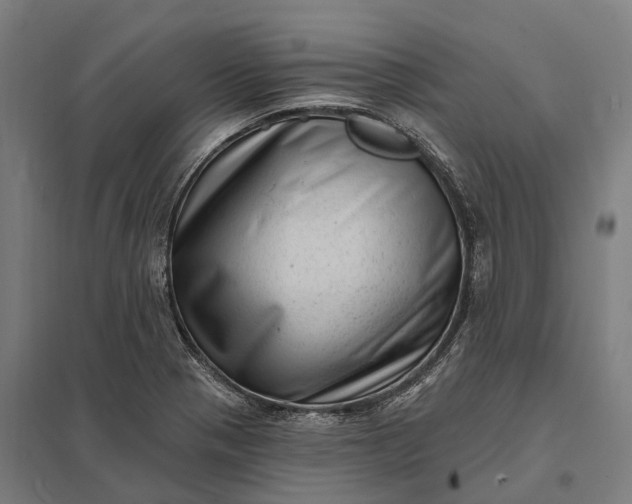 X0000097851321200803281238