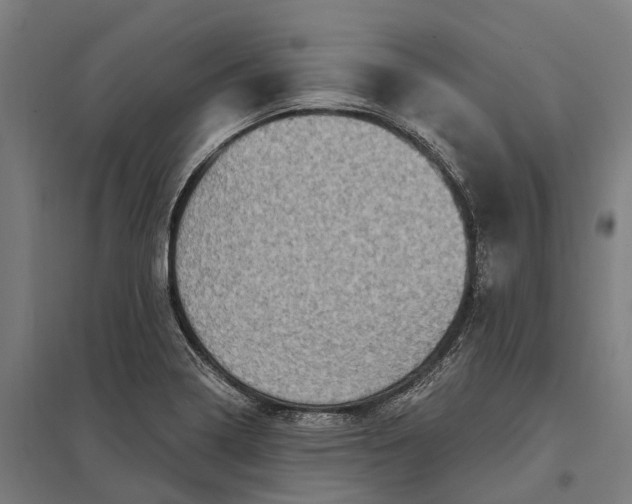 X0000097851322200803281238