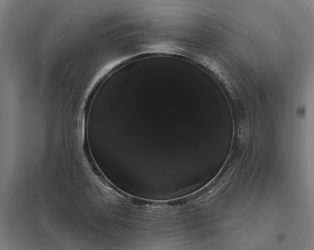 X0000097851323200803281238